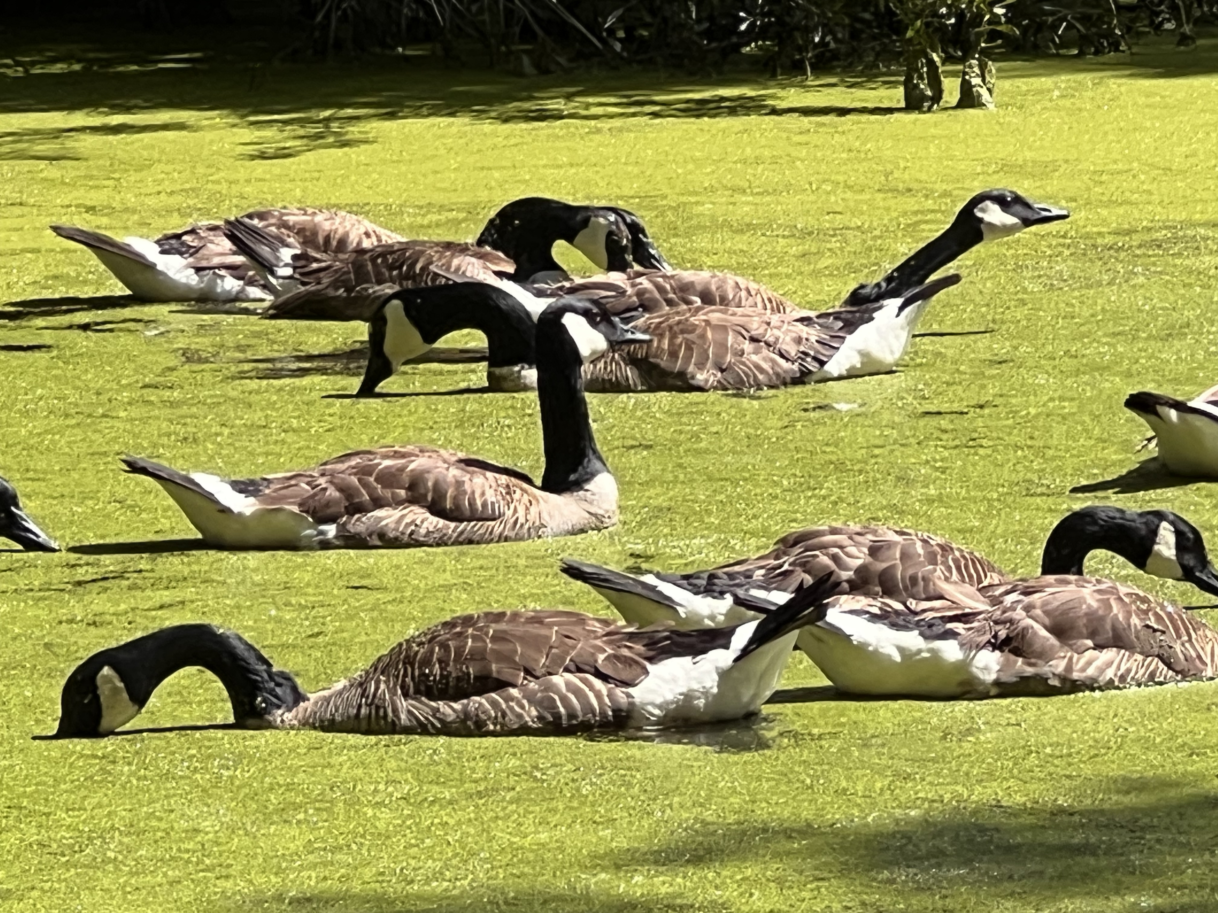 ./2025/06 - Savannah/IMG_1301.jpg